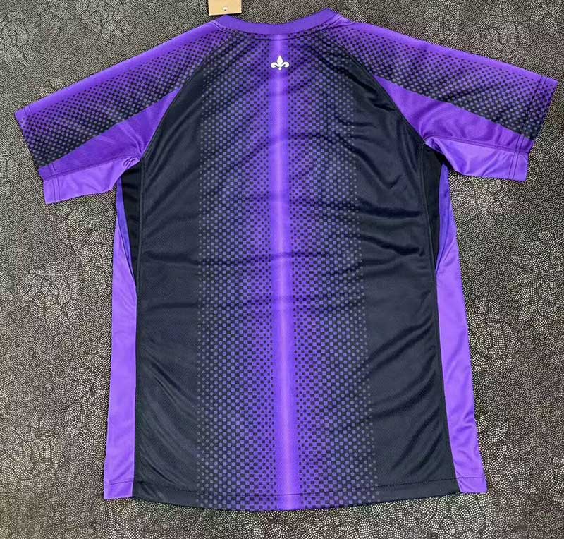 Paris Saint-Germain 2025 Especial Shirt