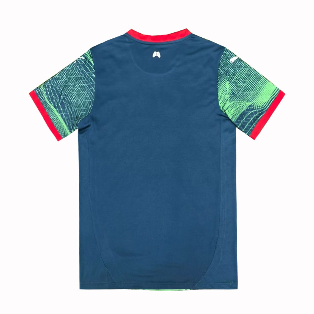 Portugal 2025 Camiseta de entrenamiento