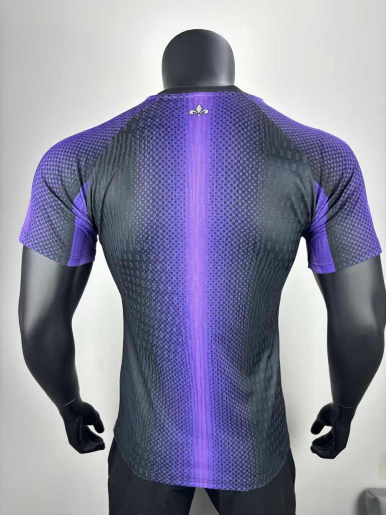 Paris Saint-Germain 2025 Versión jugador Especial Shirt