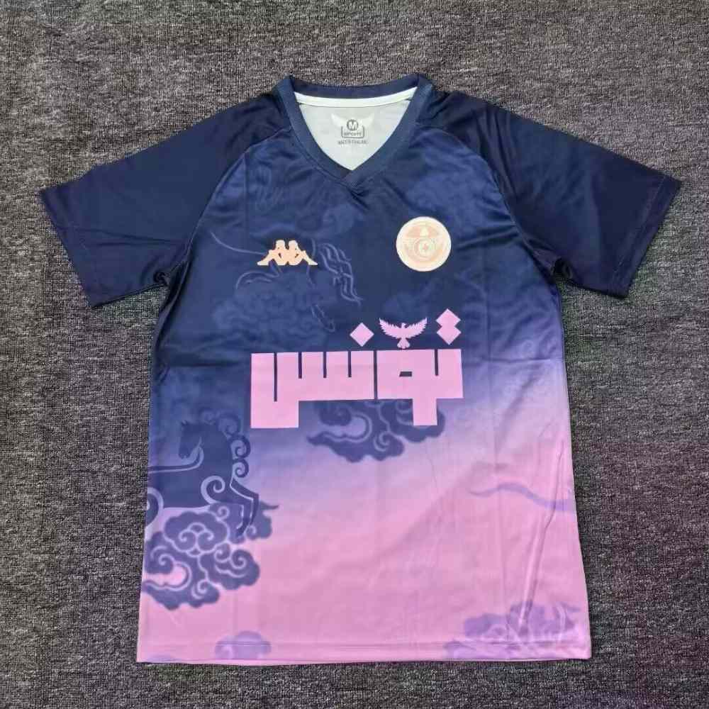 Tunisia 2025 Camiseta de entrenamiento
