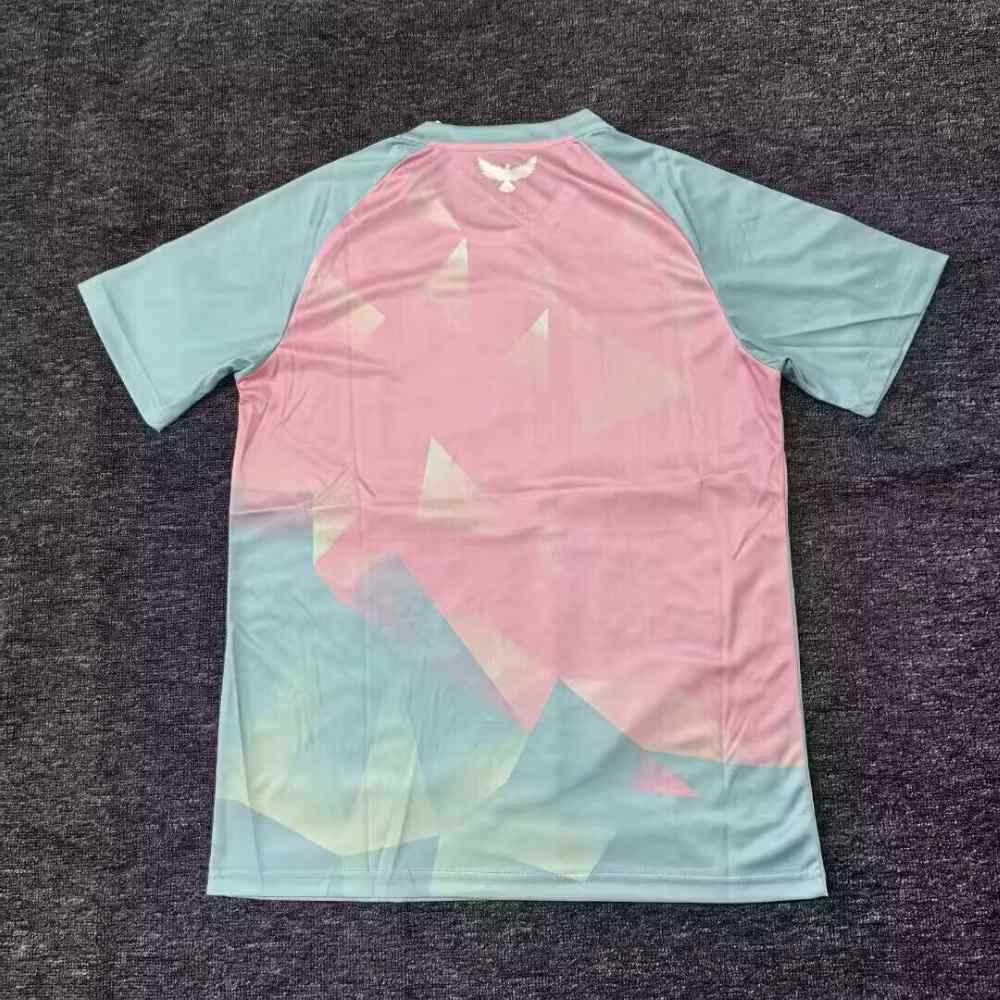 Tunisia 2025 Camiseta de entrenamiento