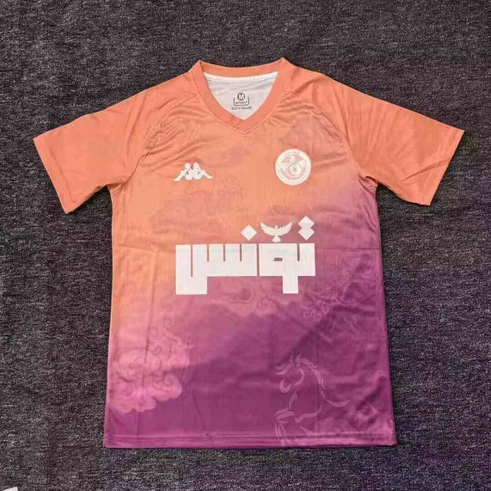 Tunisia 2025 Camiseta de entrenamiento
