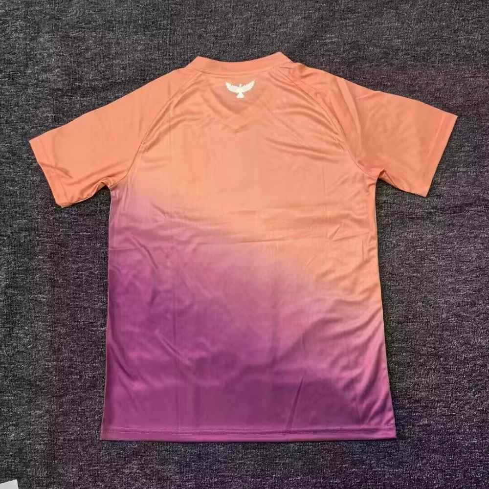 Tunisia 2025 Camiseta de entrenamiento