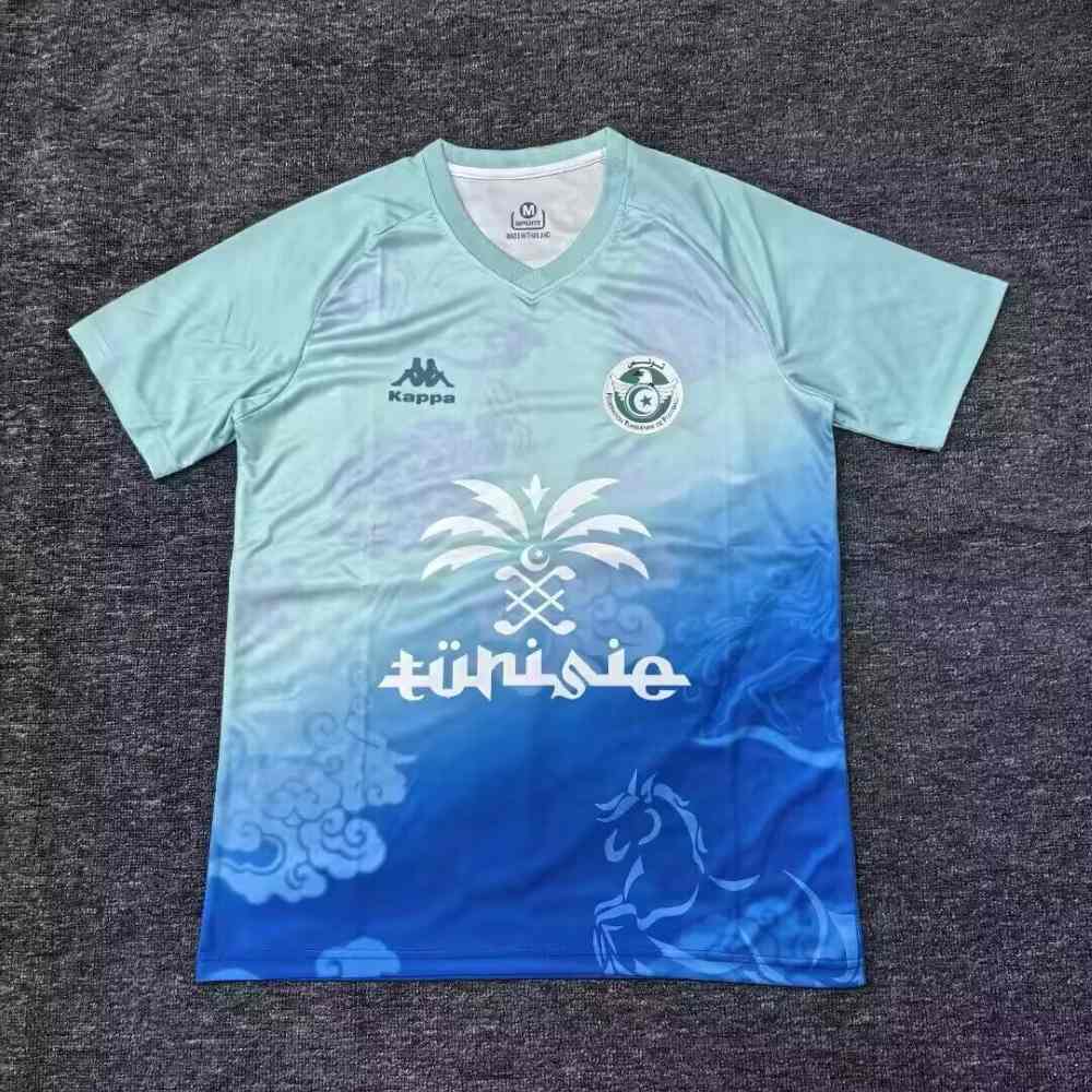 Tunisia 2025 Camiseta de entrenamiento