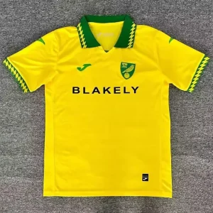 Norwich City 2025-26 Home Shirt