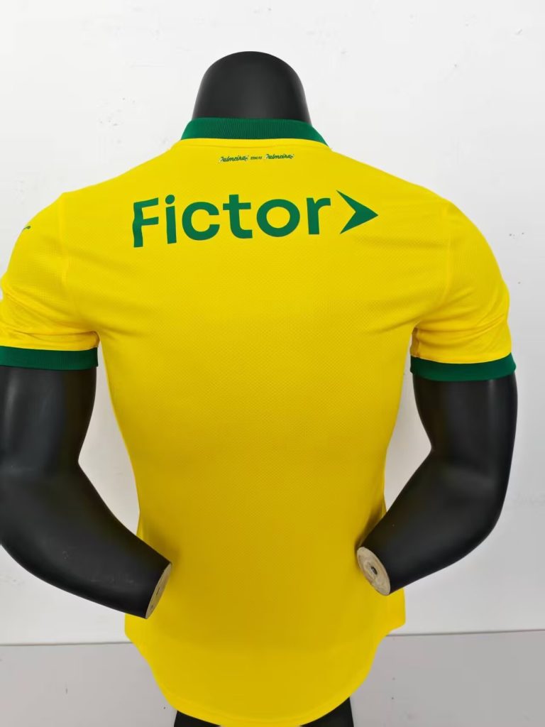 Palmeiras 2025-26 Tercera camiseta versión jugador