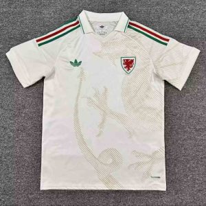 Wales 20025-26 Away Shirt