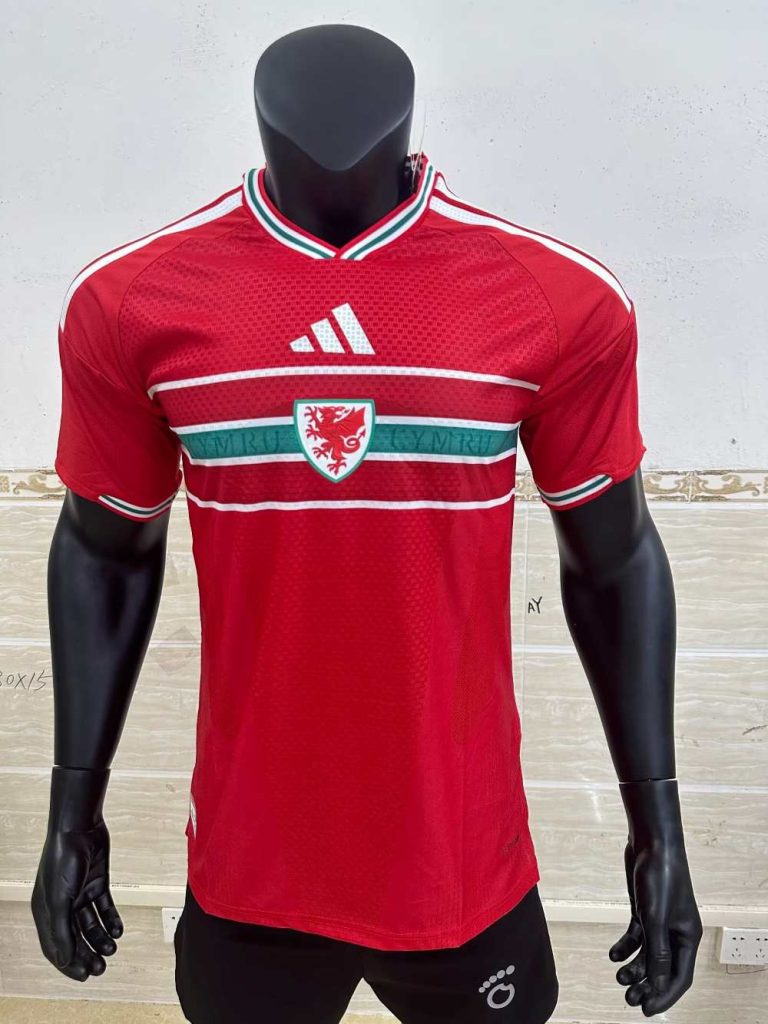 Wales 20025-26 Camiseta local versión jugador