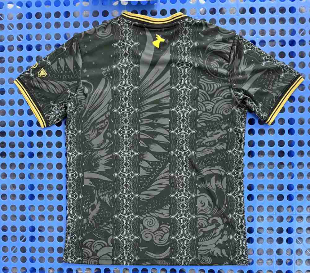 Argentina 2026-27 Camiseta edición especial