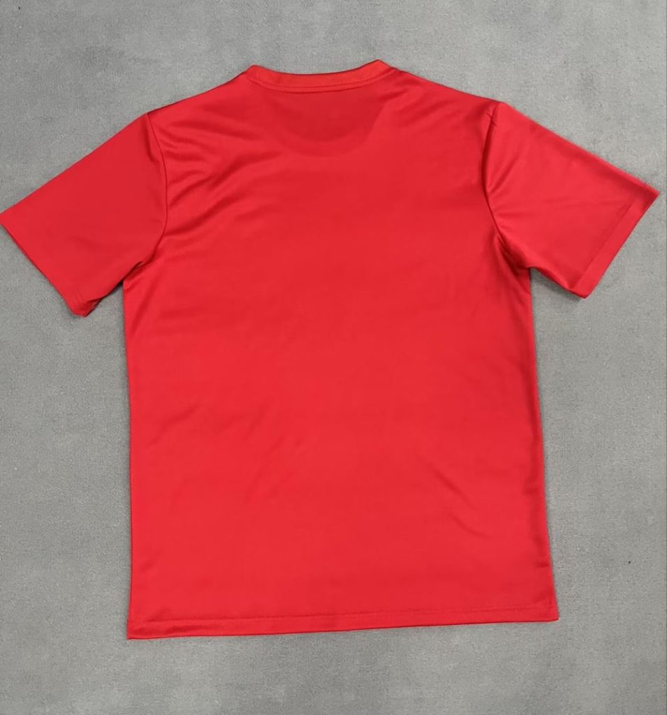 Toluca 2025-26 Camiseta edición campeón versión jugador