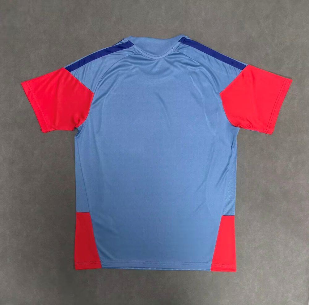 Japón 2026 Copa Mundial de la FIFA Camiseta de entrenamiento