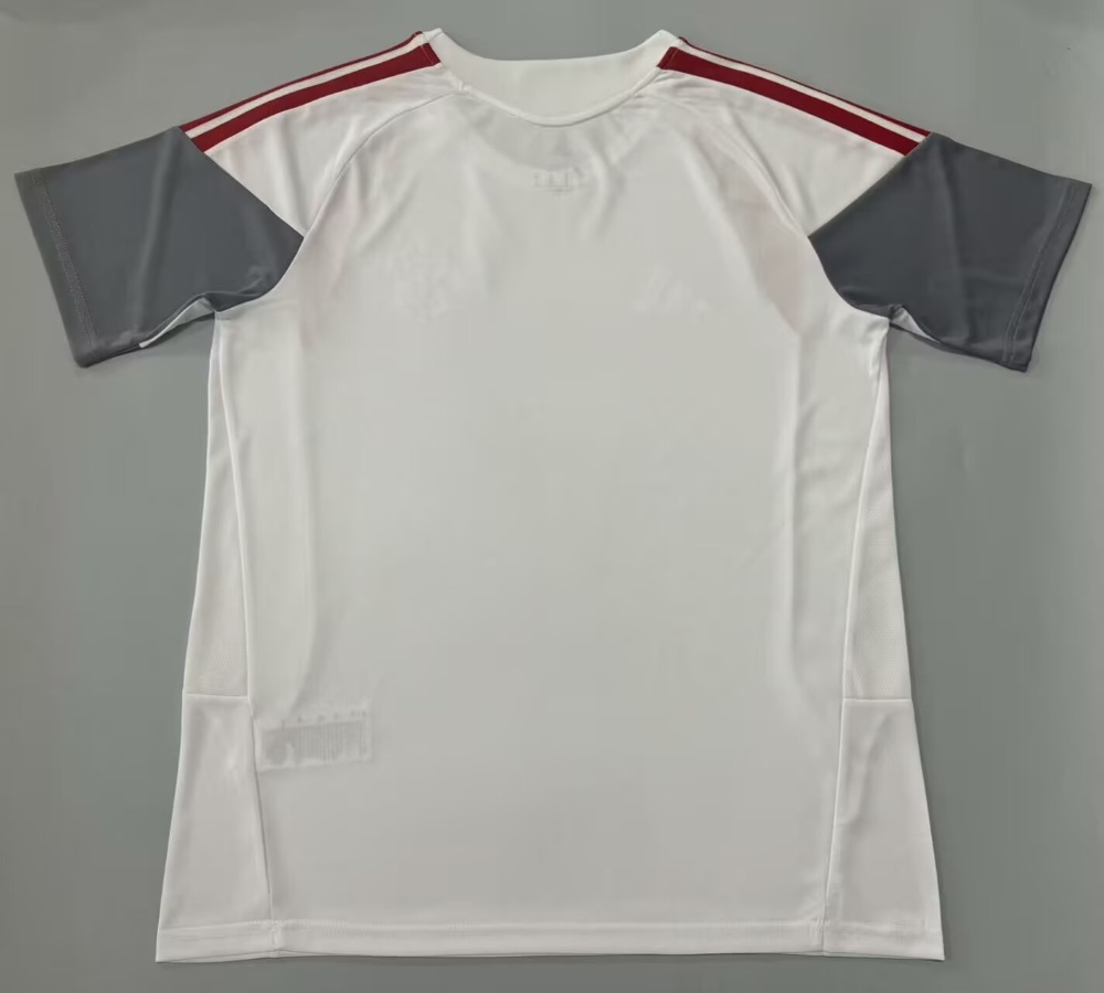Internacional 2026-27 Training Shirt