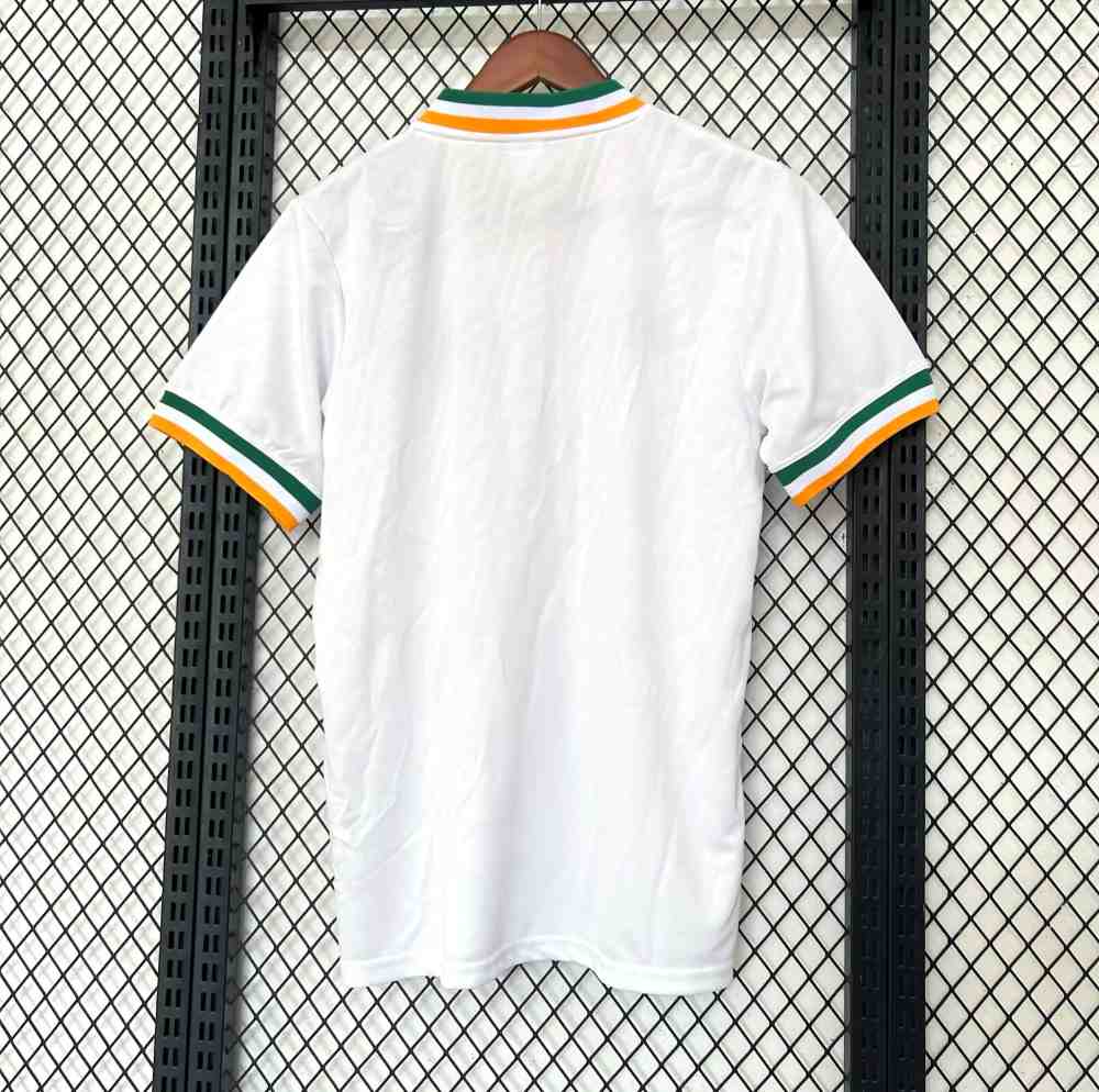 Ireland 2026 St. Patricks Day Shirt