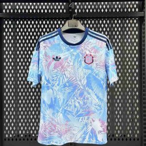 Costa Rica 2026 FIFA World Cup Away Shirt