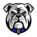 Bankstown Bulldogs
