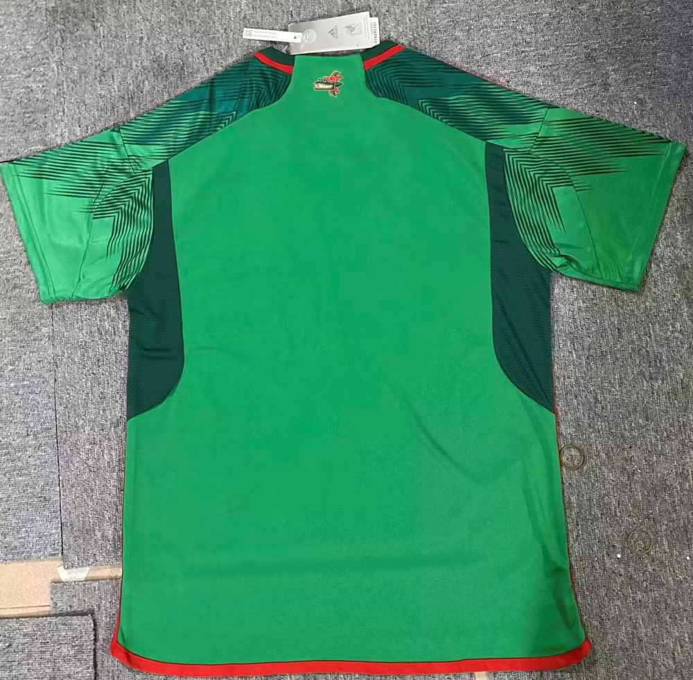 Mexico 2022 FIFA World Cup Home Shirt