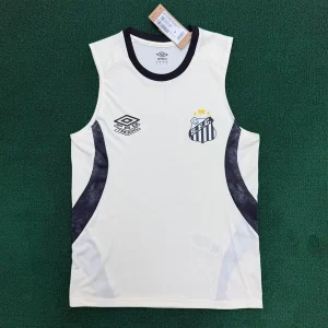 Santos 2026 Local Singlet